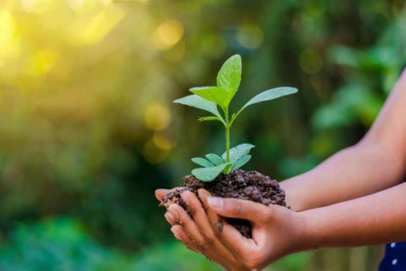 DIA MUNDIAL DO MEIO AMBIENTE E A CASA COMUM