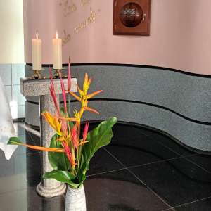 DIA MUNDIAL DA VIDA CONSAGRADA E RENOVAÇÃO DE VOTOS