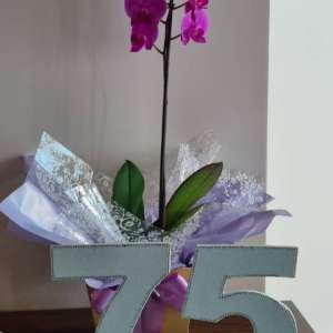 105 ANOS DE FUNDAÇÃO