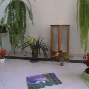 PARTILHANDO EXPERIÊNCIAS...