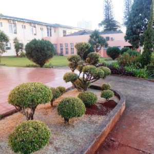 PARTILHANDO EXPERIÊNCIAS...