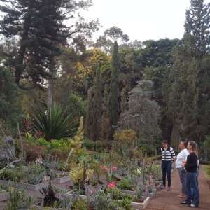 ENCONTROS DE CONVIVÊNCIA VOCACIONAL