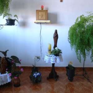 PARTILHANDO EXPERIÊNCIAS...