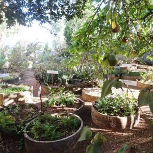 PARTILHANDO EXPERIÊNCIAS...