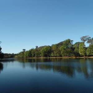 PARTILHANDO EXPERIÊNCIAS...