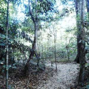 PARTILHANDO EXPERIÊNCIAS...