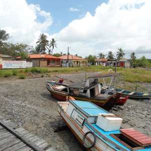 PARTILHANDO EXPERIÊNCIAS...