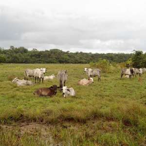 PARTILHANDO EXPERIÊNCIAS...