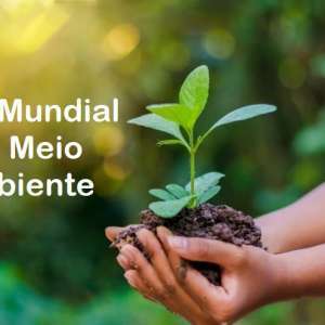 DIA MUNDIAL DO MEIO AMBIENTE E A CASA COMUM