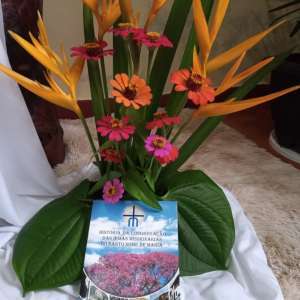 101 ANOS DE FUNDAÇÃO