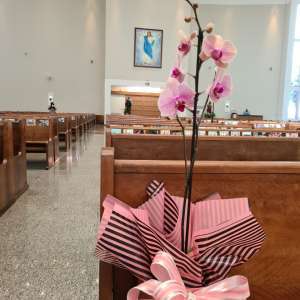 PROFISSÃO RELIGIOSA